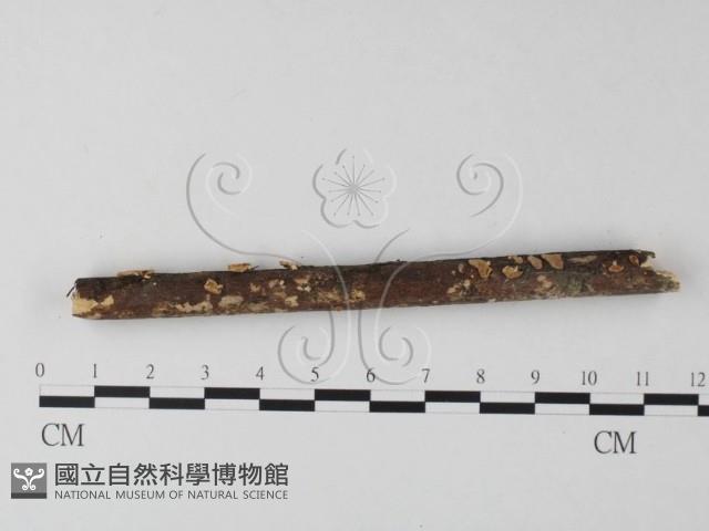 登錄號:F0001079藏品圖，第5張