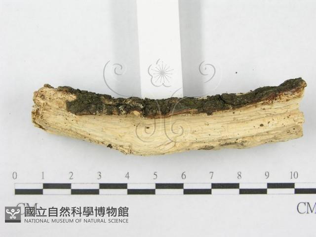 登錄號:F0003863藏品圖，第5張