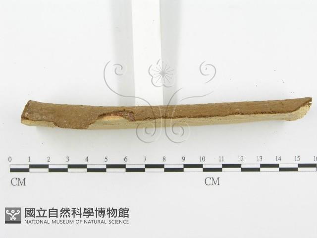 登錄號:F0002763藏品圖，第5張