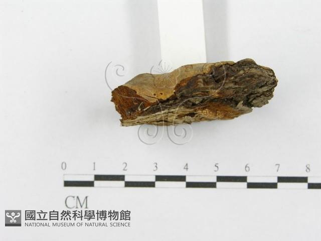 登錄號:F0017323藏品圖，第5張