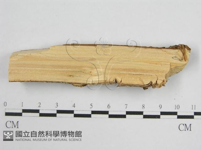 登錄號:F0000913藏品圖，第5張