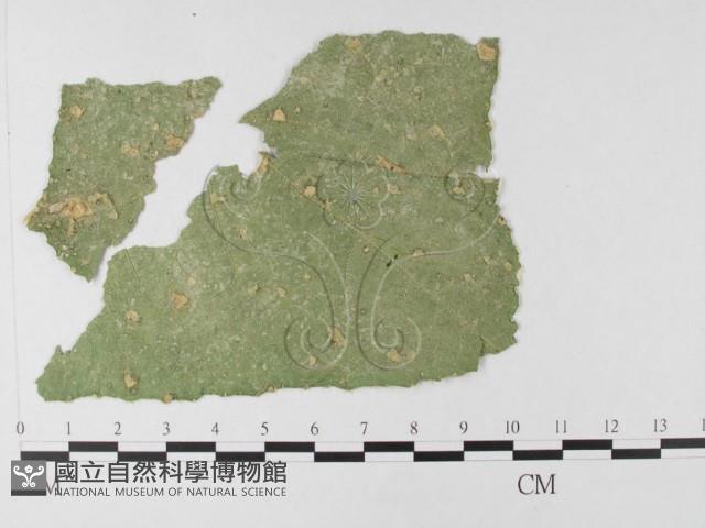 登錄號:F0026353藏品圖，第5張