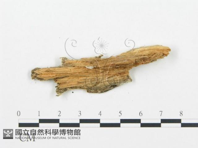 登錄號:F0019743藏品圖，第5張