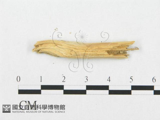 登錄號:F0019933藏品圖，第5張
