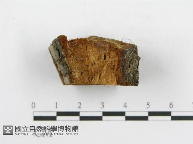 登錄號:F0014073藏品圖，第5張