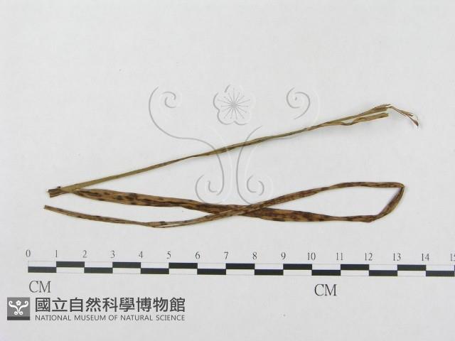 登錄號:F0018968藏品圖，第4張