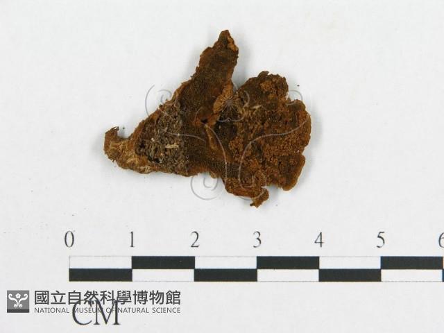 登錄號:F0011968藏品圖，第4張
