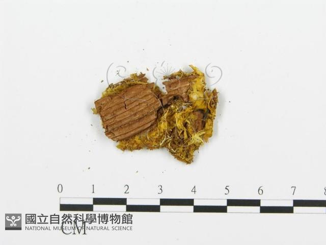 登錄號:F0017668藏品圖，第4張