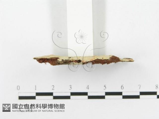 登錄號:F0020468藏品圖，第4張