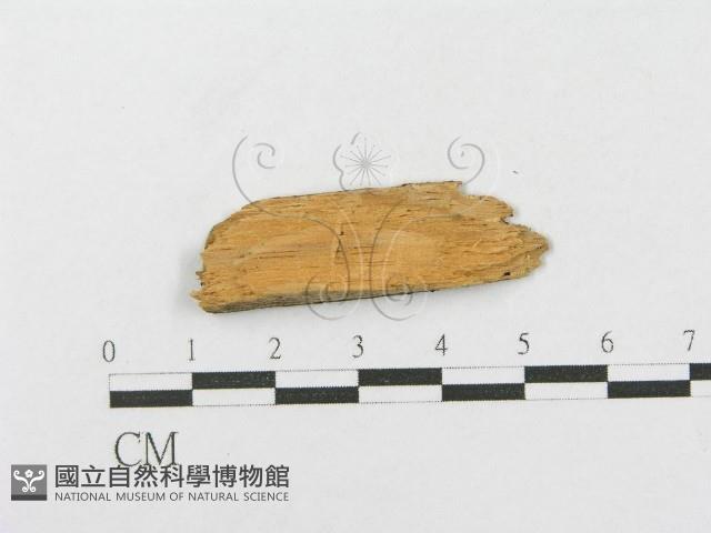 登錄號:F0016768藏品圖，第4張