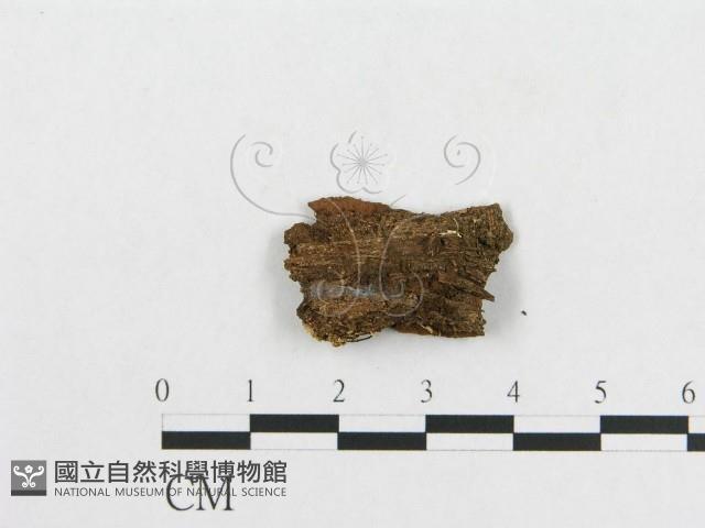 登錄號:F0005568藏品圖，第4張