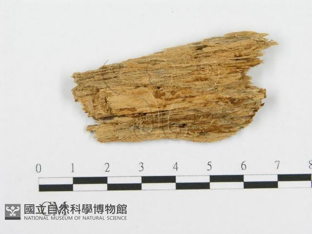 登錄號:F0017168藏品圖，第4張