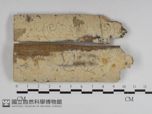 登錄號:F0021068藏品圖，第4張