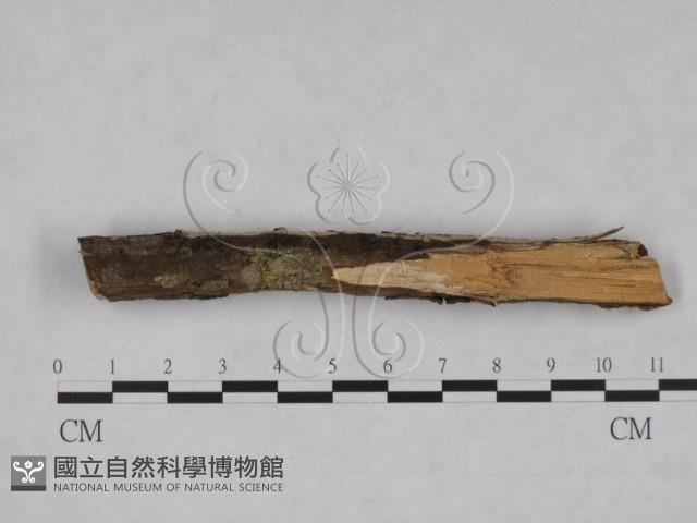 登錄號:F0025068藏品圖，第4張