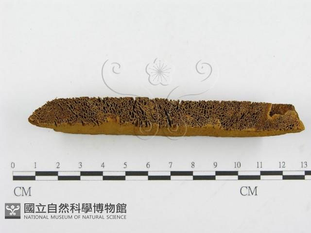 登錄號:F0004628藏品圖，第4張