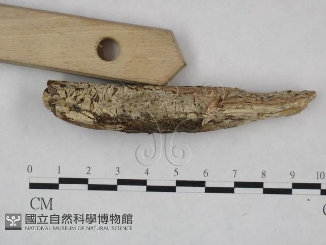 登錄號:F0021728藏品圖，第4張