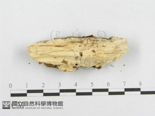 登錄號:F0002908藏品圖，第4張