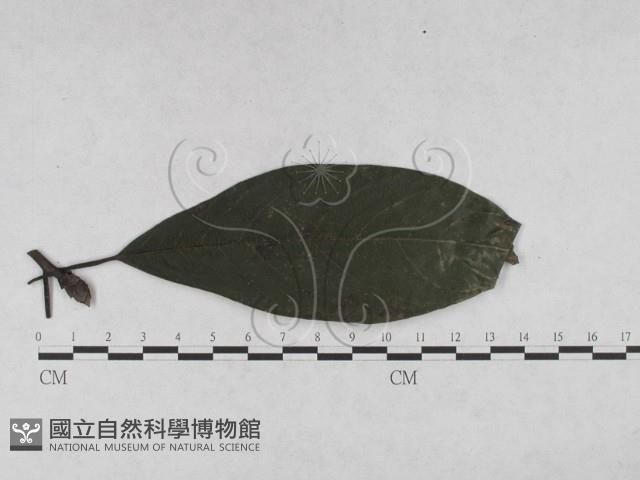 登錄號:F0027908藏品圖，第4張