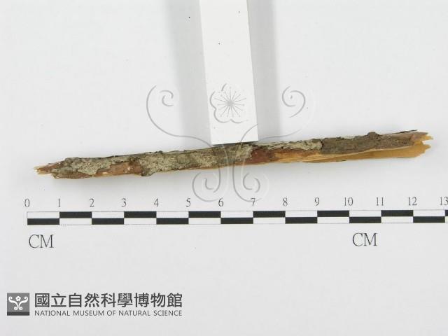 登錄號:F0001508藏品圖，第4張