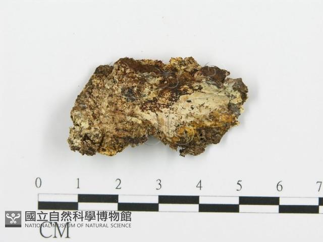 登錄號:F0017508藏品圖，第4張