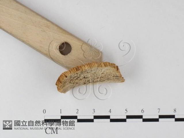館號:F0019818藏品圖，第4張