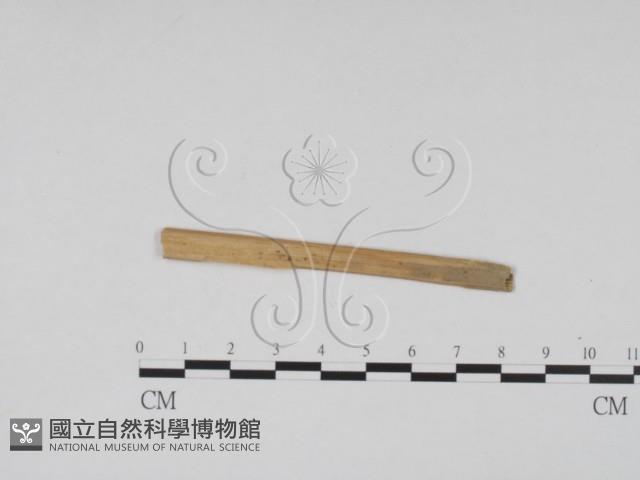 登錄號:F0011718藏品圖，第4張