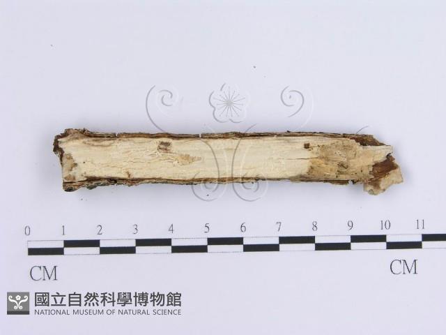登錄號:F0015718藏品圖，第4張