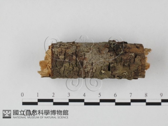 登錄號:F0022118藏品圖，第4張