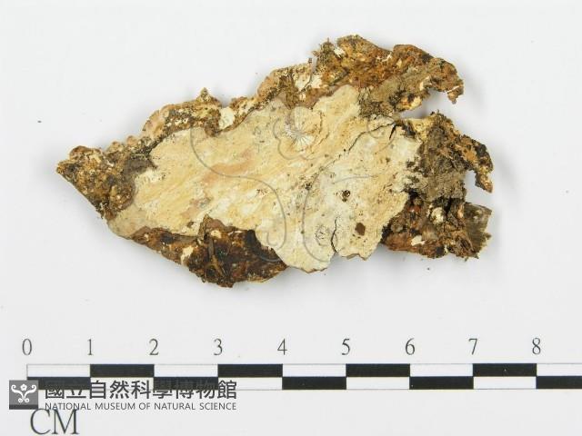 登錄號:F0017458藏品圖，第4張