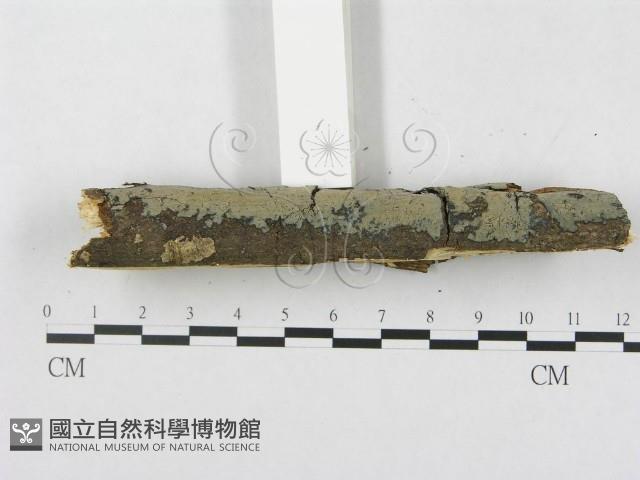 登錄號:F0020058藏品圖，第4張