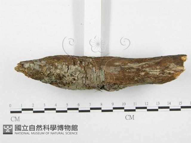 登錄號:F0001358藏品圖，第4張