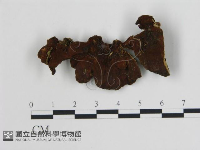 登錄號:F0018848藏品圖，第4張