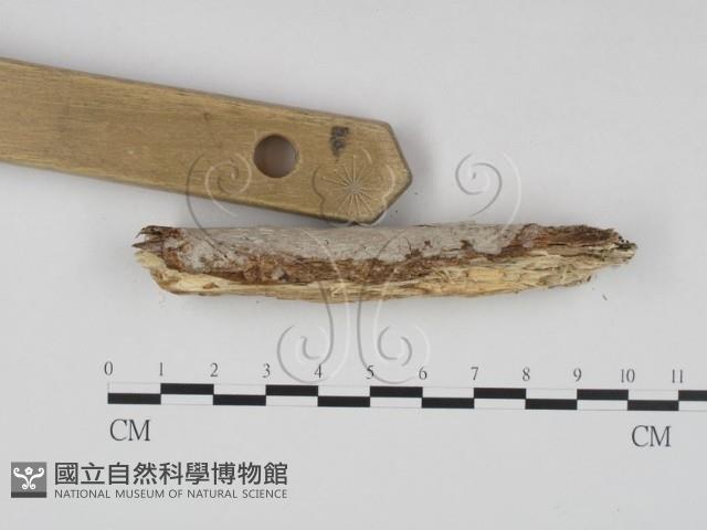 登錄號:F0023648藏品圖，第4張