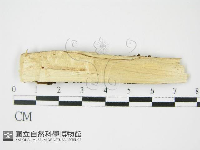 登錄號:F0009148藏品圖，第4張