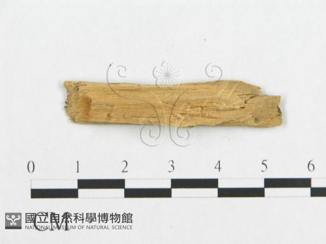 登錄號:F0019938藏品圖，第4張