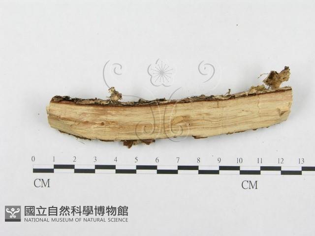 登錄號:F0002738藏品圖，第4張