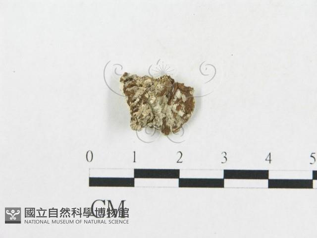 登錄號:F0017538藏品圖，第4張