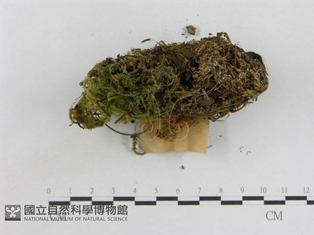 登錄號:F0017038藏品圖，第4張