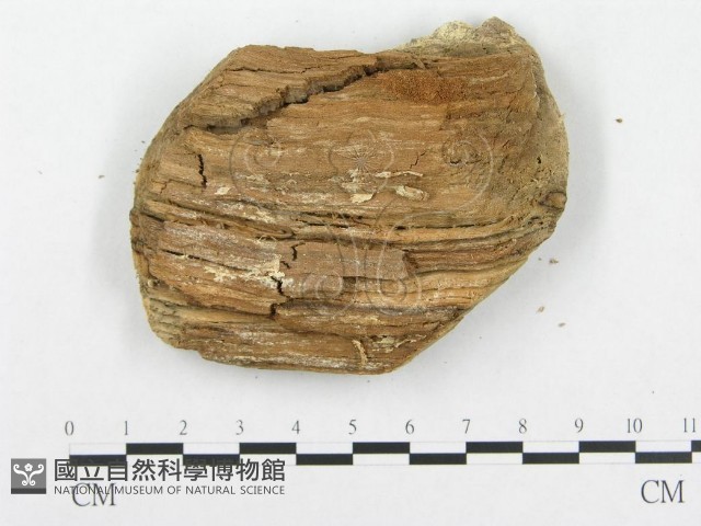登錄號:F0003678藏品圖，第4張