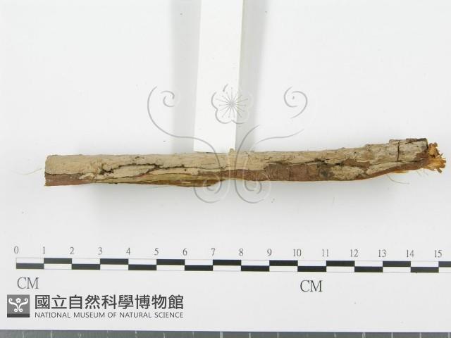 登錄號:F0001478藏品圖，第4張