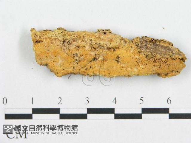 登錄號:F0015778藏品圖，第4張