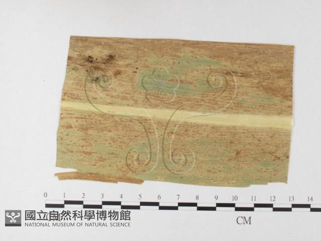 登錄號:F0026220藏品圖，第4張