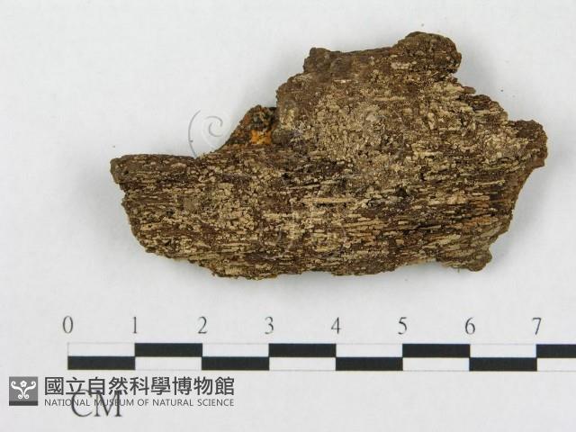 登錄號:F0019920藏品圖，第4張