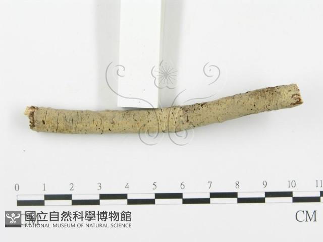 登錄號:F0003120藏品圖，第4張