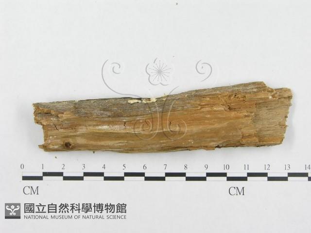 登錄號:F0014020藏品圖，第4張