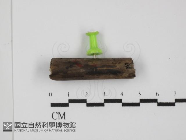 登錄號:F0031400藏品圖，第4張