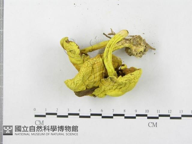 登錄號:F0004400藏品圖，第4張