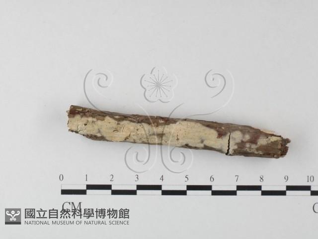 登錄號:F0023700藏品圖，第4張