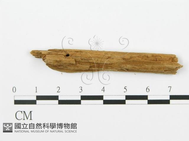 登錄號:F0016710藏品圖，第4張