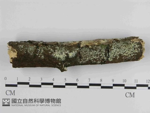 登錄號:F0014710藏品圖，第4張